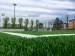 BRESCIA, Palazzolo sull'Oglio. Allo stadio comunale è cresciuta l'erba... sintetica! - foto 1